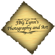 JBG Lynn's Photography and Art